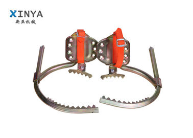 ซื้อ ไม้เลื้อยไม้ปีนป่าย 190 - 300 มม online manufacture